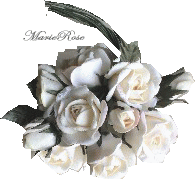 �~�j�΂�̃R�T�[�W��